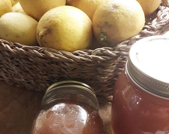 Organic lemon jam