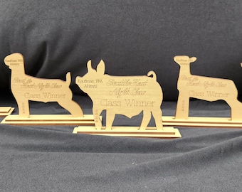 Class Winner Award, Livestock Show, Animal, Lamb, Goat, Pig, Rabbit, Steer, Heifer, Thank You, Trophy, Gift