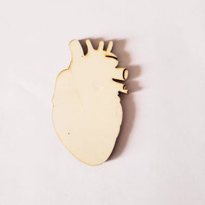 Könnte beinhalten: Holzausschnitt in Form eines menschlichen Herzens, mit detaillierten anatomischen Strukturen. Das Herz ist hellbeige, mit sichtbaren Venen und Arterien. Geeignet für Bastelarbeiten oder Bildungszwecke.