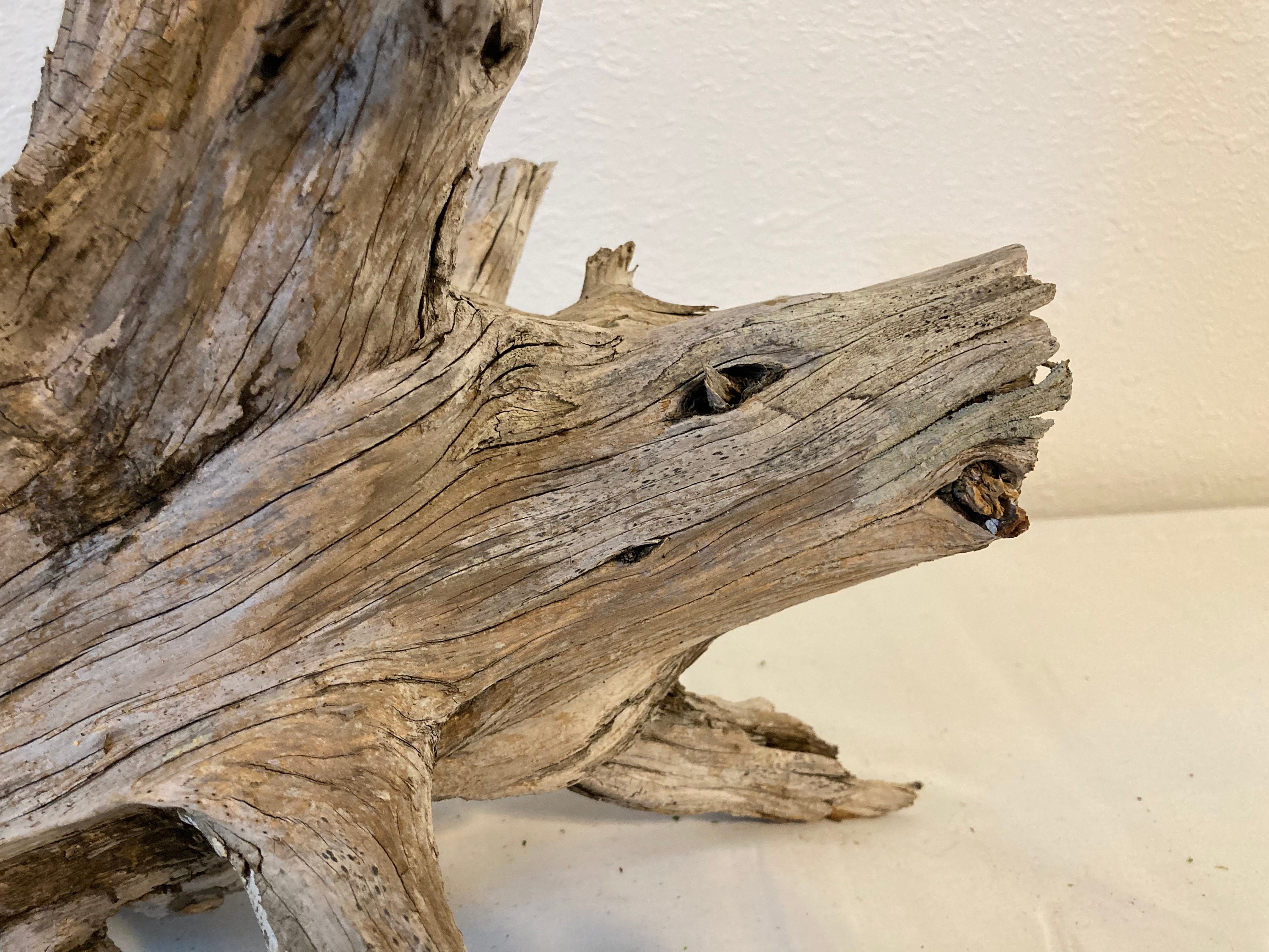 Natural cedar driftwood root/Terrarium/Aquarium/ Driftwood Etsy