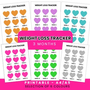 Gewichtsverliestracker voor 3 maanden Afdrukbare digitale weekgrafiek afslankplanner pdf direct downloaden