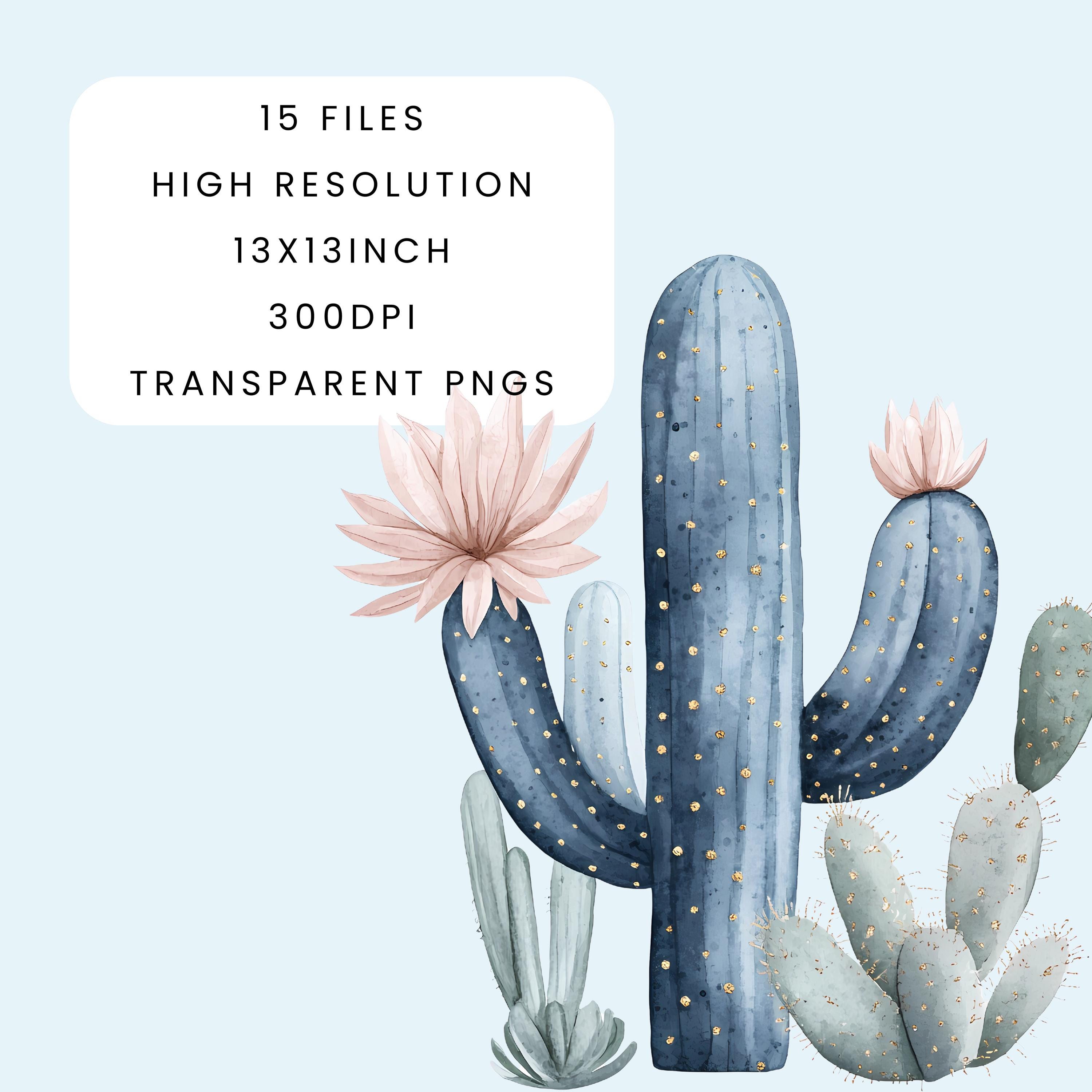 Western Clipart Bundle: Cowgirl, Rodeo, Cactus PNG Graphics (digital ...