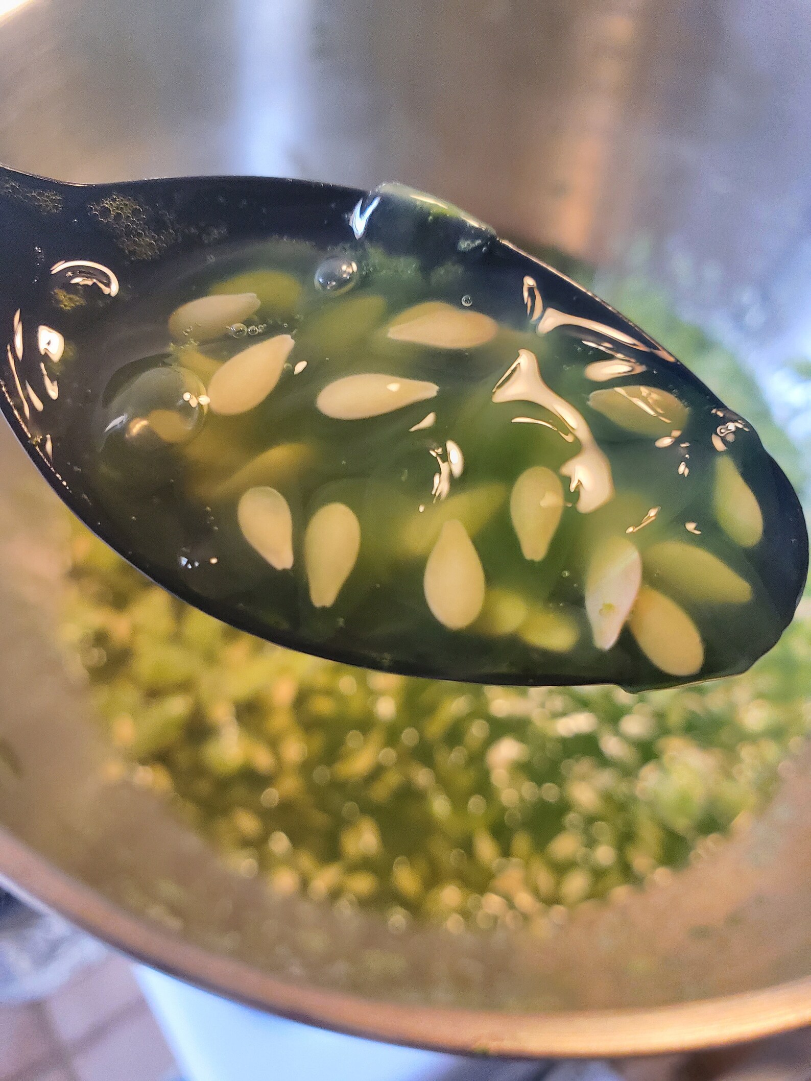 Kiwano Melon Seeds Jelly Melon African Horned Melon Heat Etsy