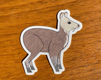 Musk Deer Sticker (waterproof weird animal vinyl sticker)