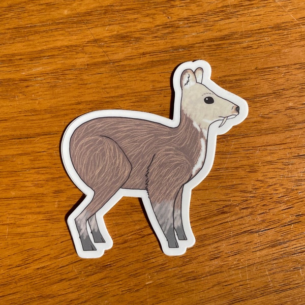 Musk Deer Sticker (waterproof weird animal vinyl sticker)