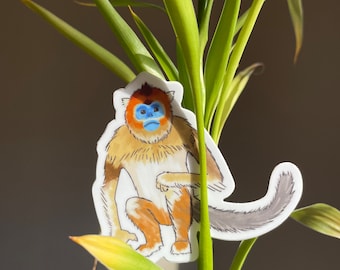 Golden Snub-Nosed Monkey Sticker (waterproof weird animal vinyl sticker)