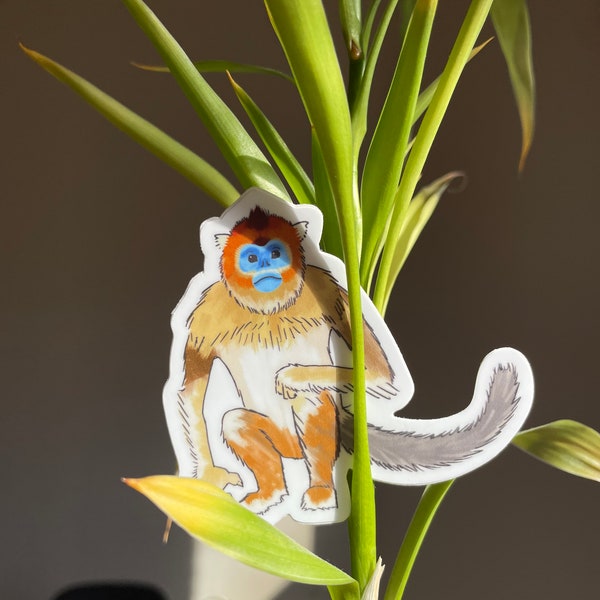 Golden Snub-Nosed Monkey Sticker (waterproof weird animal vinyl sticker)