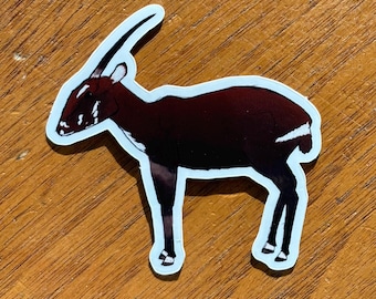Saola Sticker (rare animal sticker. Asian Unicorn art)
