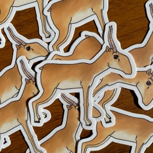 Saiga Sticker (waterdichte rare dierlijke vinyl sticker)