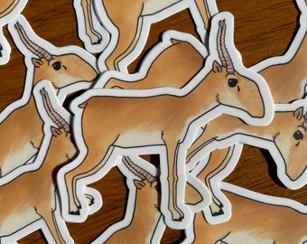 Saiga Sticker (waterproof weird animal vinyl sticker)