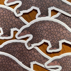 Pangolin Sticker (wasserfester Tier Vinyl Sticker)
