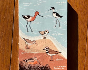 Midwest Shorebirds Sticker Sheet (American Avocet, Piping Plover, Black Necked Stilt, Spotted Sandpiper, Killdeer, Timberdoodle)