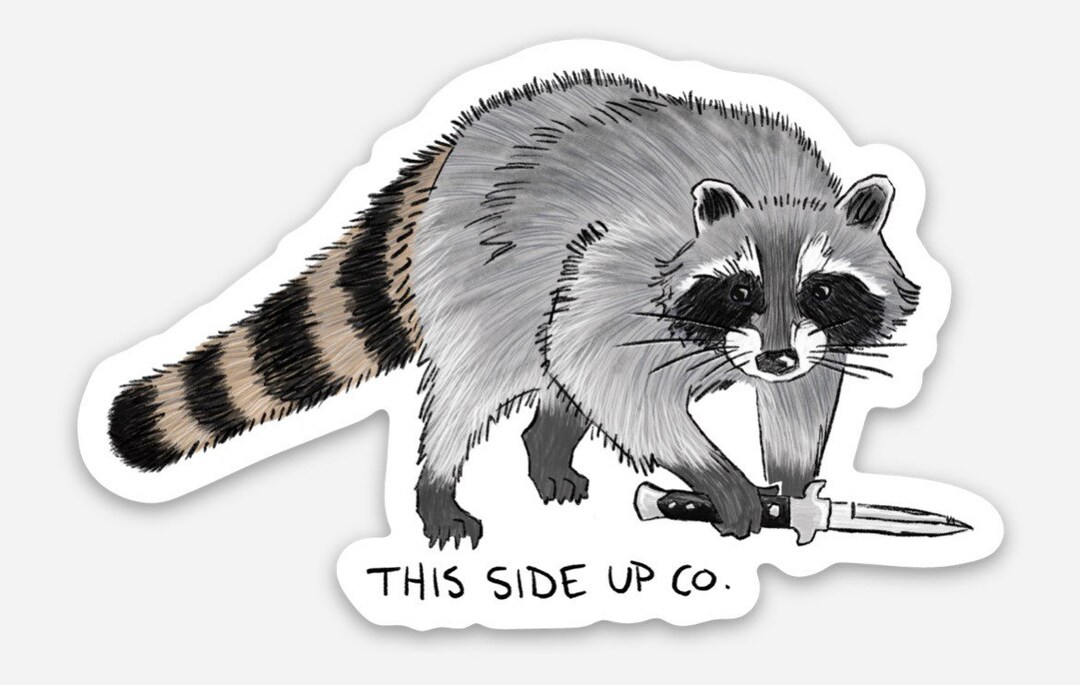 Raccoon With a Switchblade Knife Sticker (waterproof Weird Animal Vinyl ...