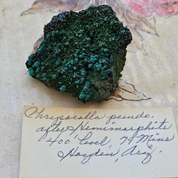 OLD Chrysocolla after Hemimorphite, 79 Mine, Gila County, Arizona, with old label