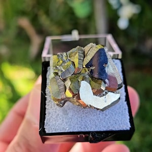 Mirror-like Golden Pyrite, Huanzala Mine, Ancash, Peru