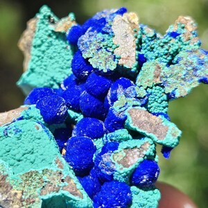 Op de afbeelding: Close-up van een mineraalmonster met azuriet en malachiet. De afbeelding toont diepblauwe azurietclusters naast getextureerde, turkooisgroene malachiet. De mineraalformatie heeft een ruwe, natuurlijke uitstraling met bruine matrix.