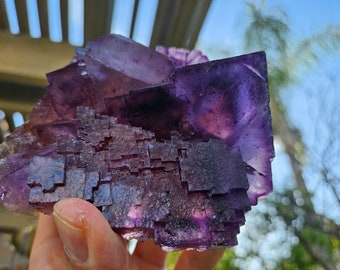 Huge Etched Purple Fluorite with Yellow zones, Crystal Victory Mine, Illinois, USA