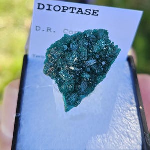 Sweet Dioptase crystals, Brazzaville, DR Congo possibly Mindouli Mine