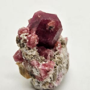 Pode incluir: Uma imagem de perto de um espécime mineral com um grande cristal rosa escuro facetado. Cristais e aglomerados rosa menores e arredondados estão embutidos em uma matriz de rocha cinza e castanha. O espécime está sobre um fundo branco.