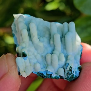 May include: A raw mineral specimen featuring pale blue, stalactite-like formations rising from a dark green, textured base. The structure displays smooth, rounded, finger-like protrusions in a light cyan hue, with a small, dark, contrasting inclusion visible on one of the lower columns.