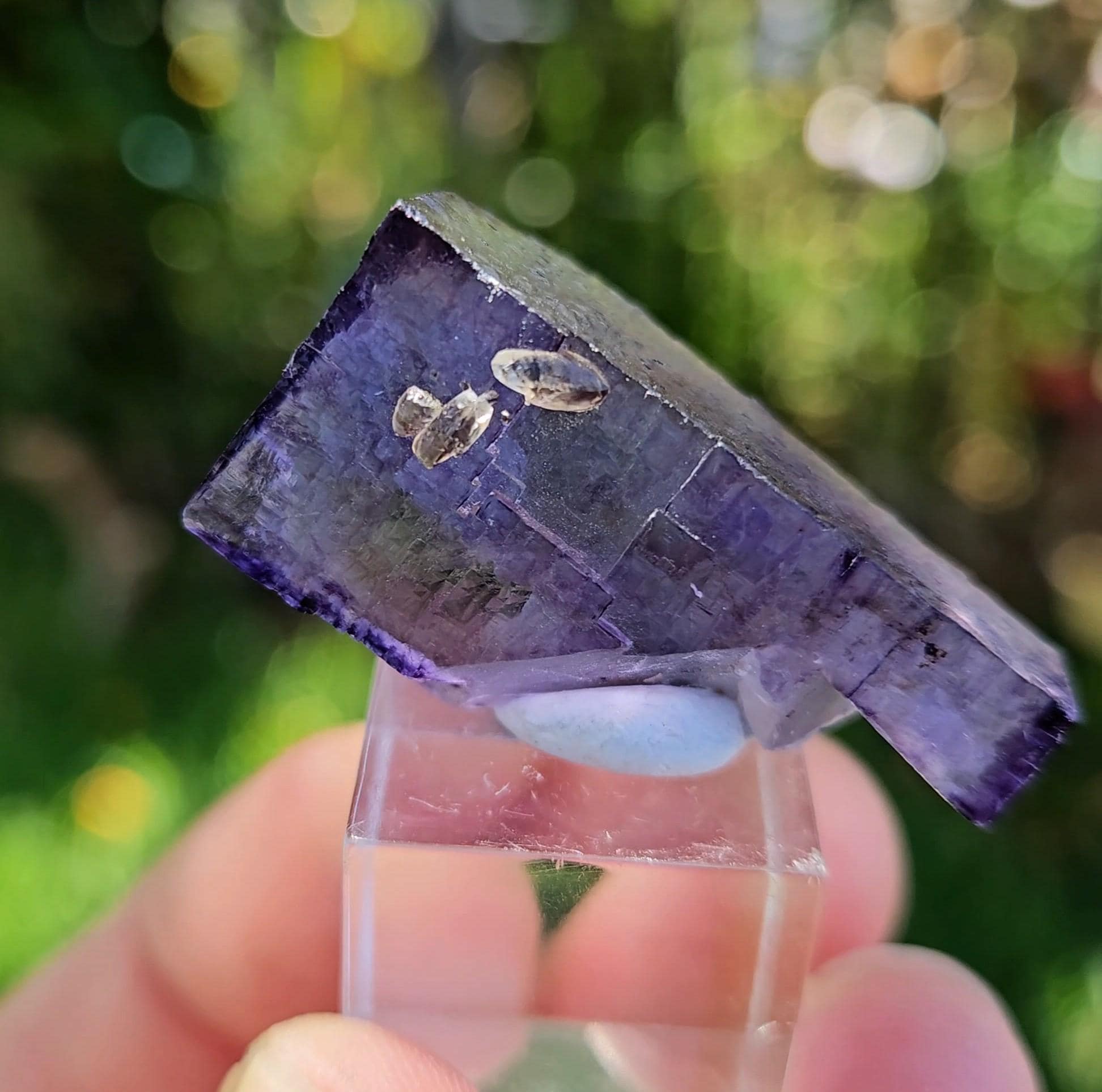 Illinois fluorite - Etsy 日本