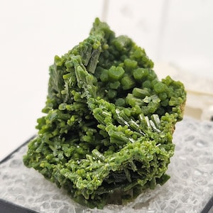 May include: A vibrant green mineral specimen with a crystalline structure. The mineral has a clustered formation of needle-like and blocky crystals, showcasing a rich, verdant color. The specimen is set against a neutral background, highlighting its natural beauty.