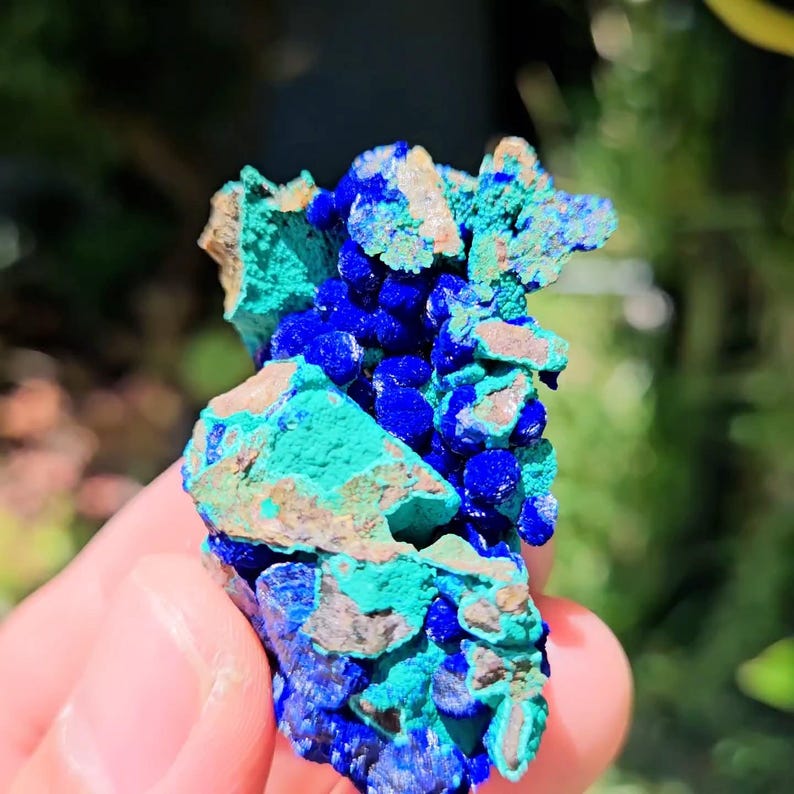 Op de afbeelding: Een close-up van een mineraalmonster met azuriet en malachiet. De diepblauwe azurietkristallen contrasteren met heldergroene malachiet, met bruine matrix. De natuurlijke formatie wordt in een hand gehouden.