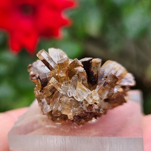 Intricate Barite Crystals, Cartersville, Bartow County, Georgia, USA