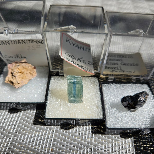 Three (3) Superb Thumbnails from Brazil in Perky boxes! Gem Kyanite, Cassiterite, Lanthanite