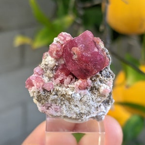 Pode incluir: Um aglomerado de cristais rosa e vermelhos em uma matriz de rocha cinza. Os cristais são translúcidos e têm um brilho vítreo.