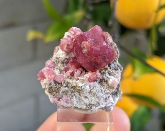 Superb Raspberry Grossular Garnet, Sierra de Cruces, Mexico