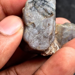 Natural Black Record Keeper Sapphire – Golden Sheen Crystal Specimen (188ct)