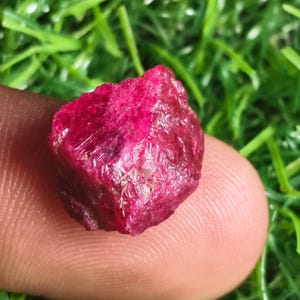 May include: A rough, uncut ruby gemstone, displaying a deep red hue with a slightly textured surface. The ruby is held against a background of green grass, highlighting its natural beauty. This gemstone is a raw, natural mineral.