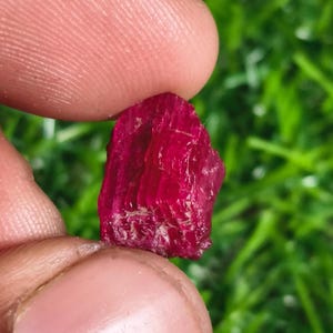 May include: A raw, uncut ruby gemstone, held between fingers. The ruby is a deep, saturated red color with a rough, textured surface. The background is blurred green.