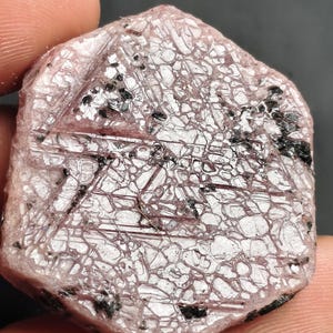 Puede incluir: Una gema rosa rugosa con un patrón complejo de líneas e inclusiones negras. La piedra se sostiene entre los dedos, mostrando su textura natural y sin pulir. La estética general sugiere un espécimen mineral en bruto y natural.