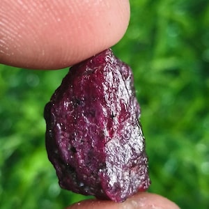 Puede incluir: Una gema de rubí en bruto y sin cortar, sostenida entre dos dedos. El rubí es de un color rojo intenso y rico con una superficie ligeramente irregular. El fondo es verde borroso.