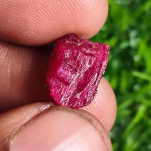 Può includere: Una gemma di rubino grezza e non tagliata, tenuta tra le dita. Il rubino è di un colore rosso intenso e ricco con una superficie ruvida e strutturata. La gemma ha una forma irregolare, mostrando la sua forma naturale. Lo sfondo è verde sfocato.
