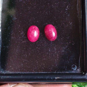 Könnte beinhalten: Zwei kleine, oval geformte, leuchtend pink-rote Edelsteine mit einer glatten, polierten Cabochon-Oberfläche. Diese beiden losen Steine liegen nebeneinander in einem quadratischen, schwarzen Kunststoffetui mit einem transparenten Deckel.