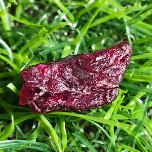 May include: A rough, uncut ruby gemstone with a deep red hue, resting on a bed of vibrant green artificial grass. The ruby's surface has a textured appearance, showcasing its natural, raw form. The gemstone is a rich, dark red color.