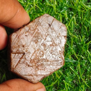 Puede incluir: Una gema en bruto, de color marrón, con un patrón geométrico de triángulos y líneas. La piedra se sostiene entre los dedos sobre un fondo de hierba verde. La superficie de la piedra tiene un aspecto texturizado, con variaciones de color y tono.