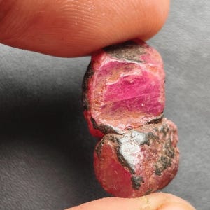 Puede incluir: Dos piedras preciosas de rubí en bruto, de color rojo intenso con inclusiones oscuras y moteadas. Las piedras se sostienen entre los dedos, mostrando su textura natural, sin pulir y su color vibrante. El rubí es una piedra preciosa.