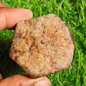 Könnte beinhalten: Ein rauer, sechseckiger Edelstein mit einer marmorierten braunen und beigen Oberfläche. Der Stein wird zwischen den Fingern vor einem Hintergrund aus grünem Gras gehalten. Der Edelstein hat ein natürliches, unpoliertes Aussehen.