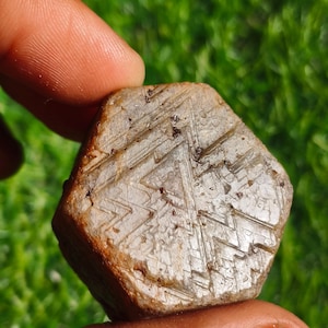 Puede incluir: Una gema en bruto, de forma hexagonal, con un tono marrón claro. La superficie presenta intrincados patrones geométricos y pequeñas inclusiones oscuras. La gema se sostiene entre dos dedos sobre un fondo verde borroso.