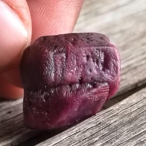 May include: A rough, uncut ruby gemstone with a deep red-purple hue. The natural stone has a textured surface and is held between fingers. The ruby is displayed against a weathered wooden background.