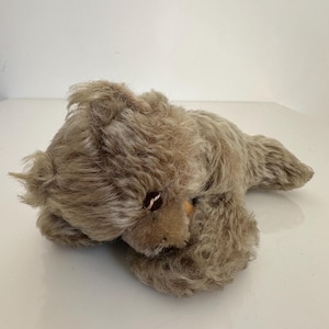 Steiff zotty bear - Etsy 日本