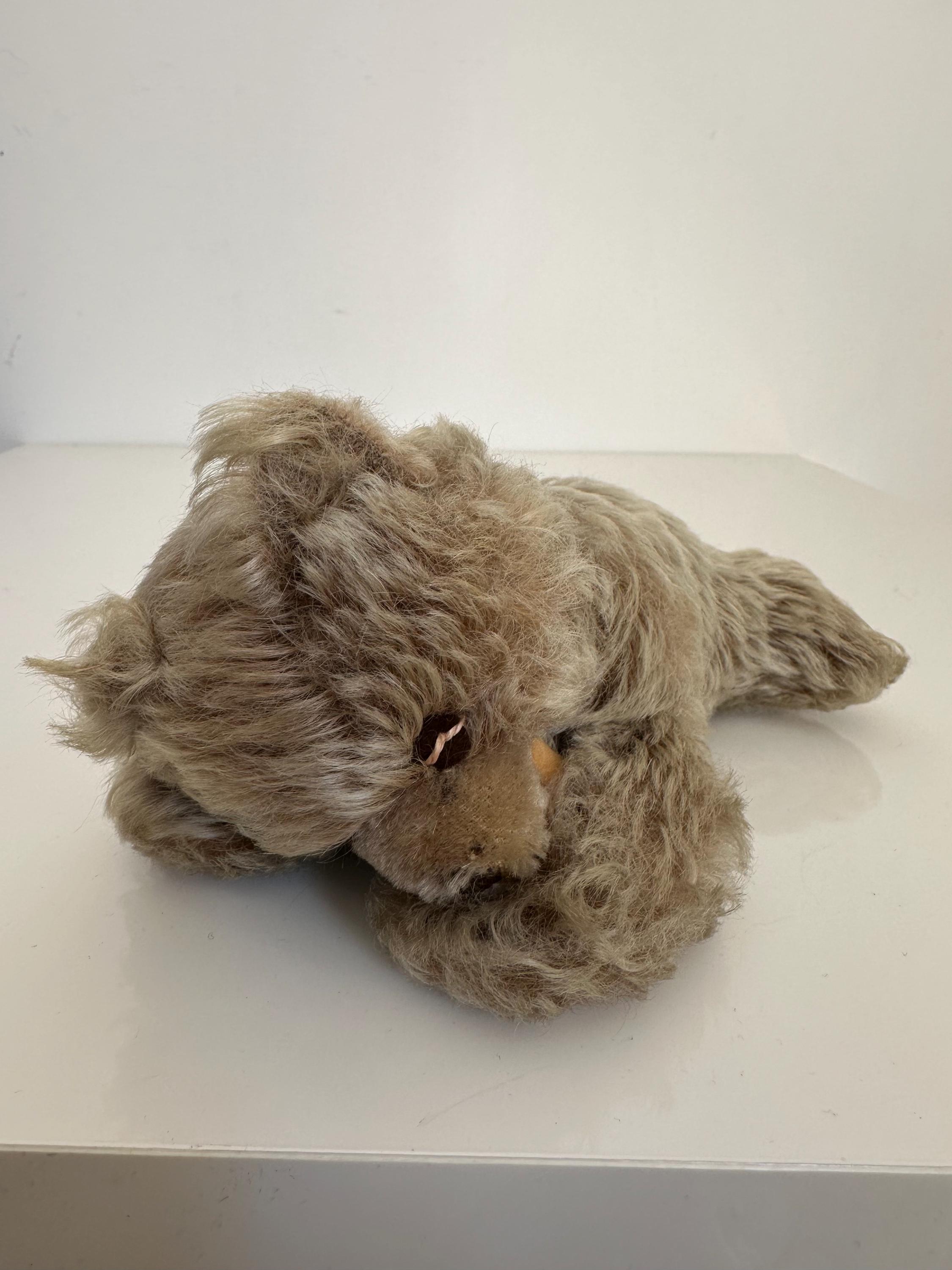 Steiff zotty bear - Etsy 日本