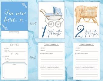 Baby Boy Meilenstein Karten Aquarell Baby Spielzeug. Monatliche Baby Meilenstein Karten. Sofortiger Download druckbar. Meilenstein Karten Bundle. Baby Geschenk