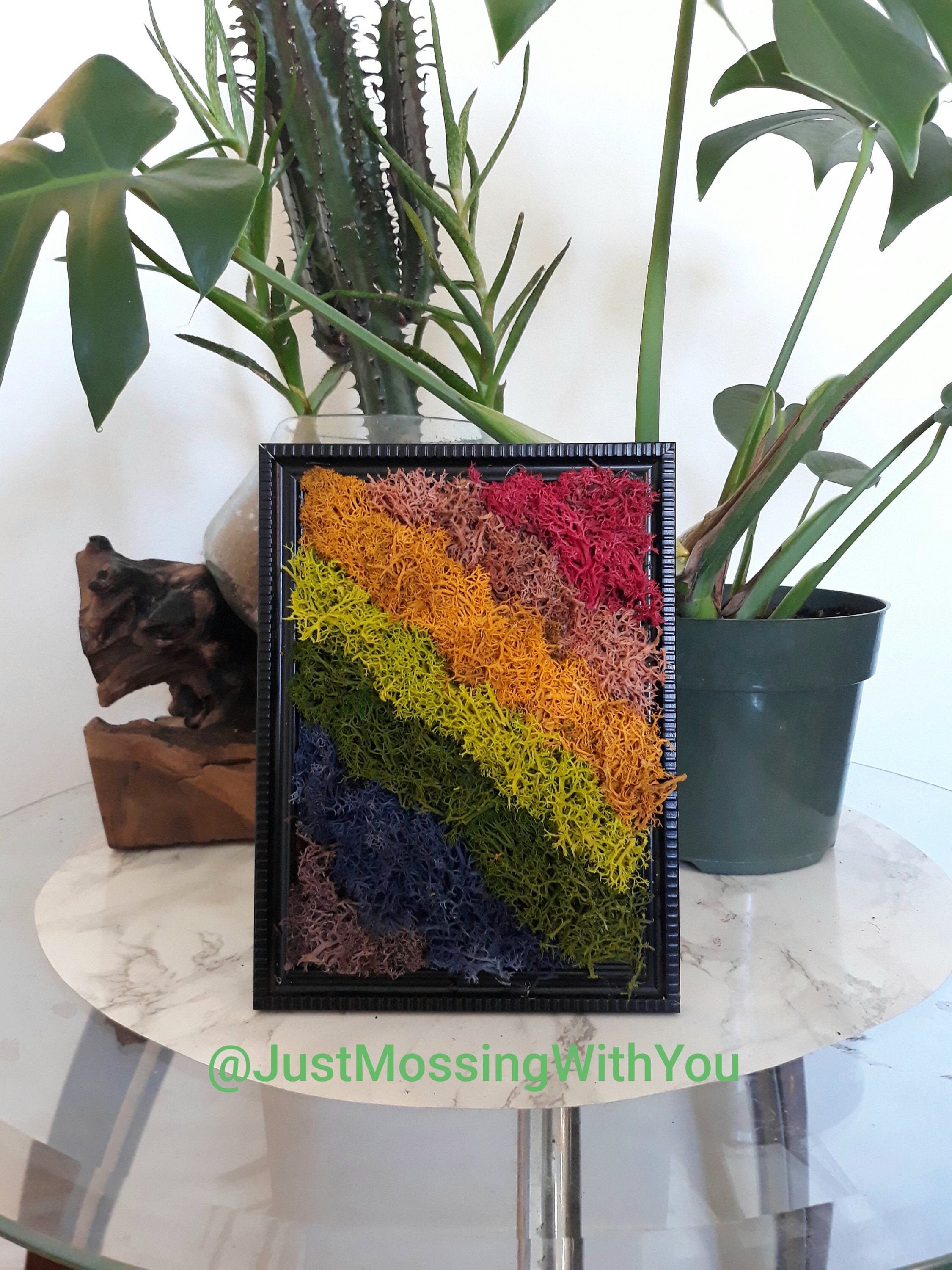 Rainbow Moss Wall Art Plant Art Etsy