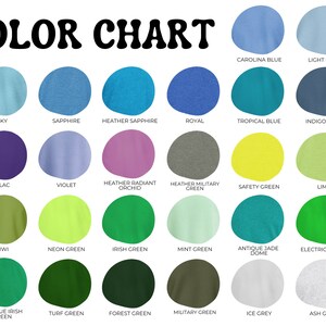 Pu&ograve; includere: Tabella colori che mostra 24 diversi campioni di tessuto. I colori includono sfumature di blu, verde, viola e grigio.