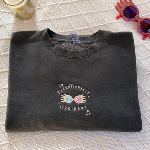 May include: A dark gray sweatshirt with a gold embroidered design featuring a pair of glasses with swirling pink and blue lenses and the text "Exceptionally Ordinary".